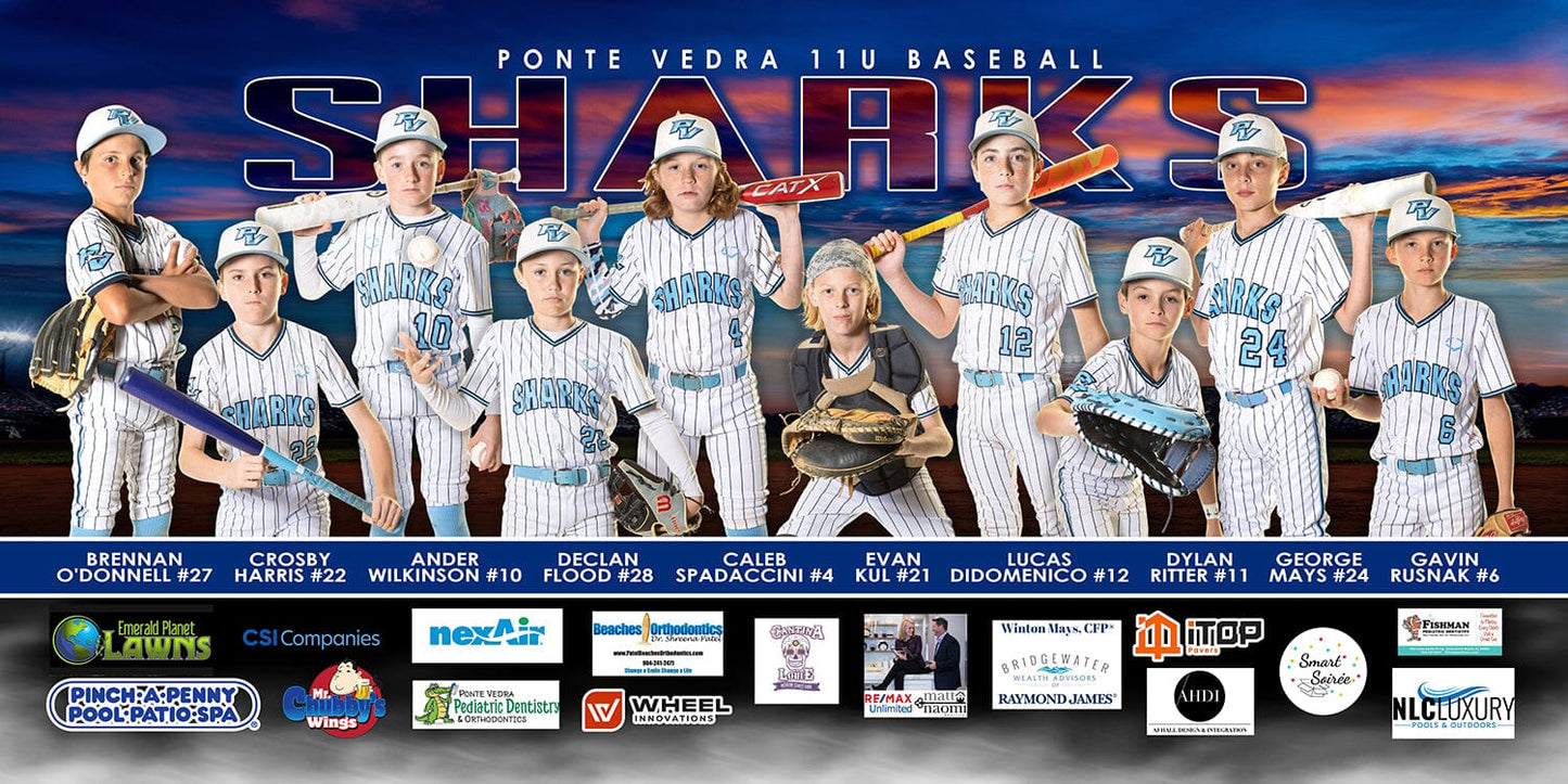Slugger - 1:2 Ratio TEAM FIELD BANNER Photoshop Template-Photoshop Template - PSMGraphix