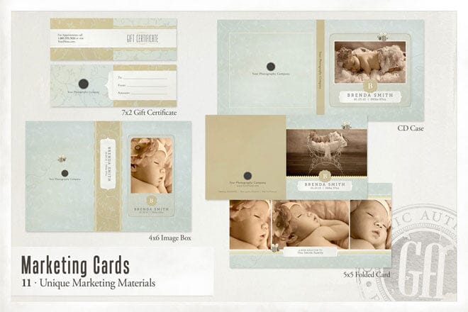 Honey Bee - Bundle-Photoshop Template - Graphic Authority