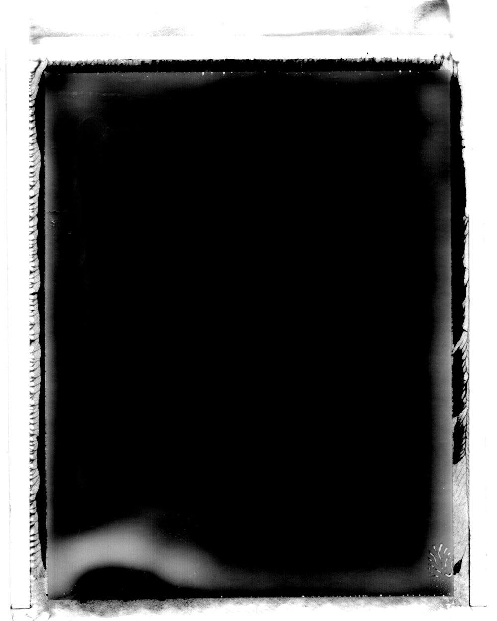 Photo Edge Library - Film Strip 8x10 - Full Collection-Photoshop Template - Graphic Authority