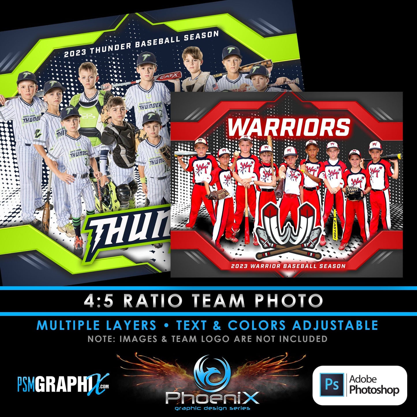 SHIELD - Phoenix Series - Team Print/Poster/Banner-Photoshop Template - PSMGraphix