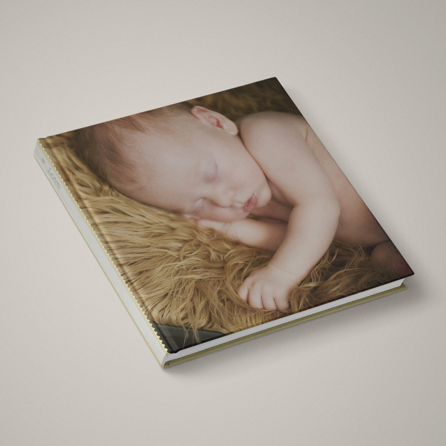 Honey Bee - 12x24 - Album Spreads-Photoshop Template - Graphic Authority