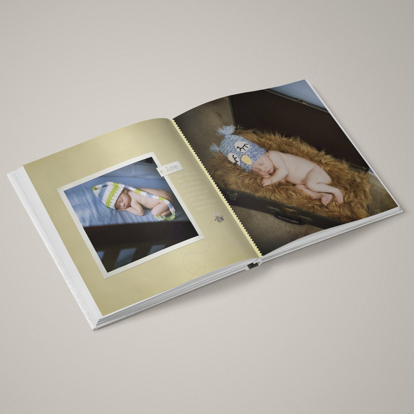 Honey Bee - 12x24 - Album Spreads-Photoshop Template - Graphic Authority