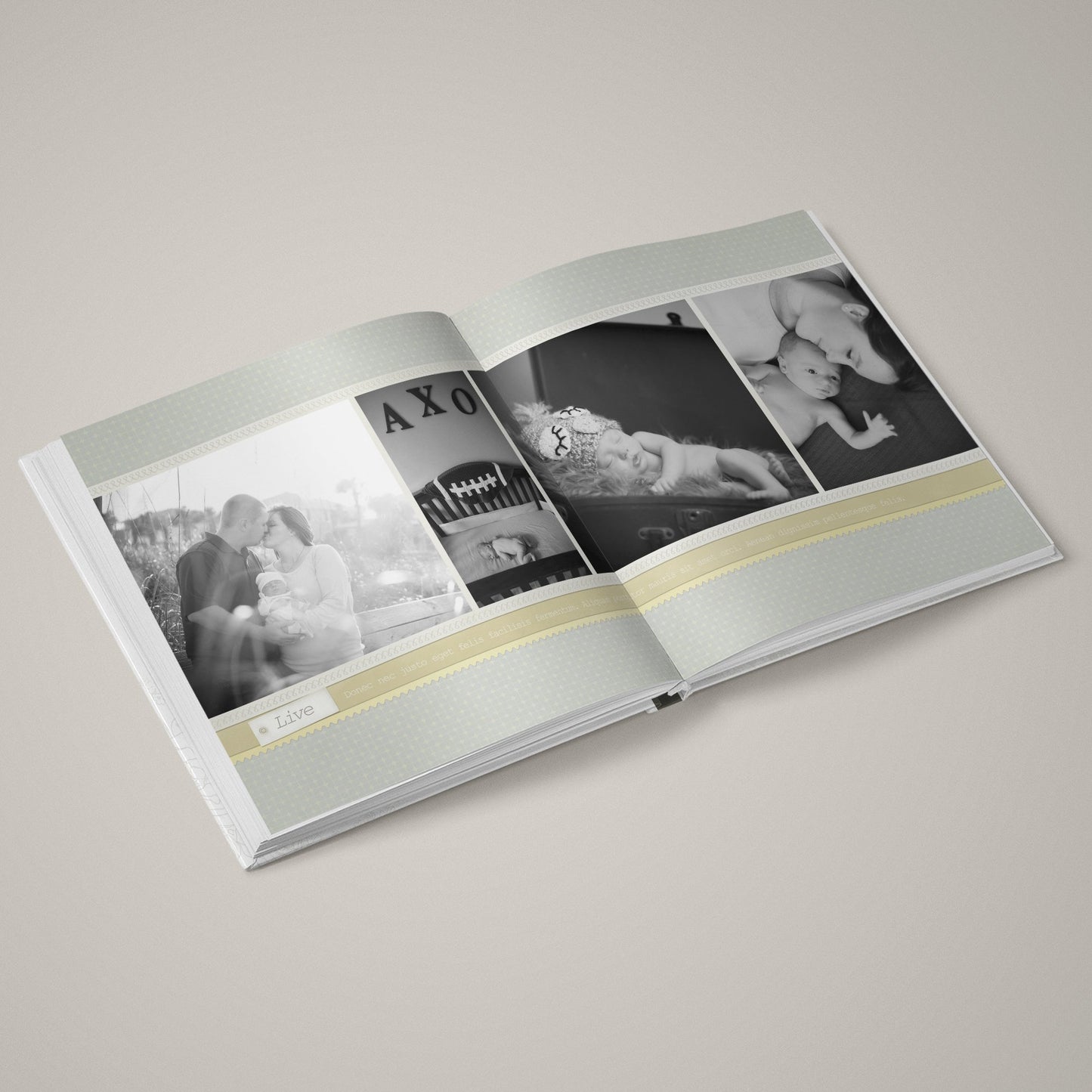 Honey Bee - 12x24 - Album Spreads-Photoshop Template - Graphic Authority