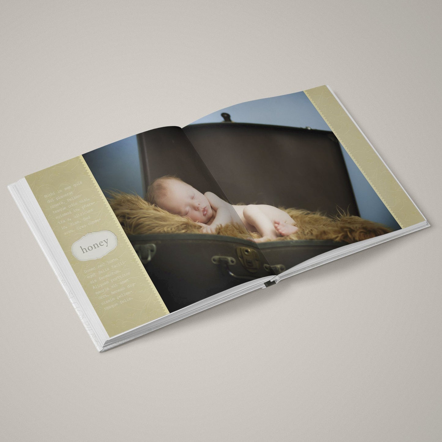 Honey Bee - 12x24 - Album Spreads-Photoshop Template - Graphic Authority