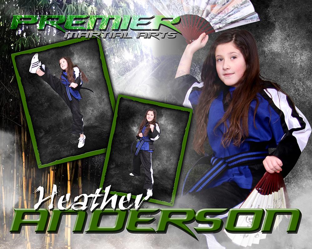 Bamboo Forest - Martial Arts Series -  Drop In Poster/Banner-Photoshop Template - Photo Solutions