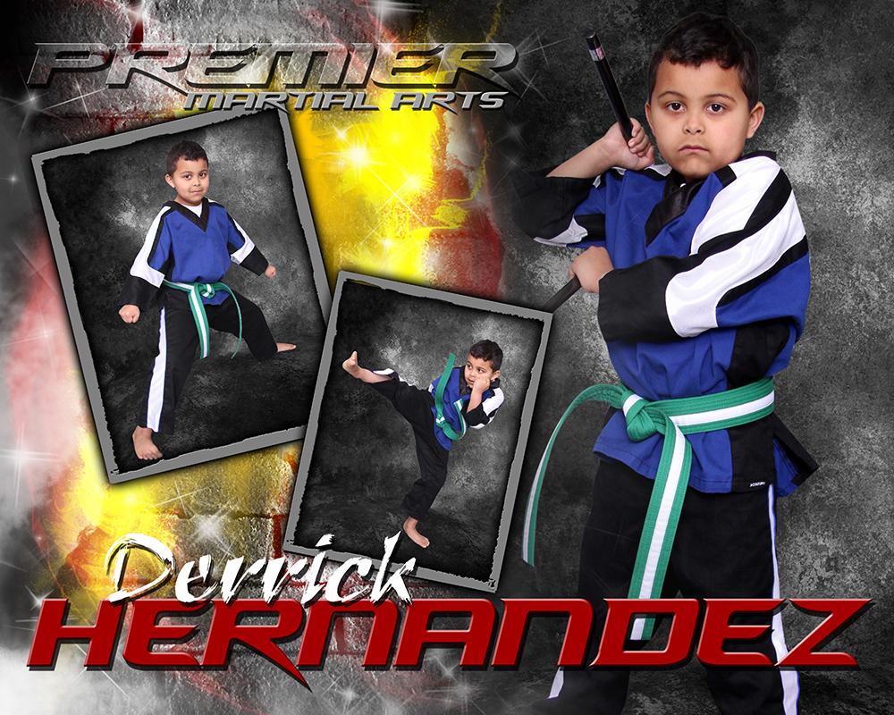Brick Fire - Martial Arts Series - Drop In Poster/Banner-Photoshop Template - Photo Solutions