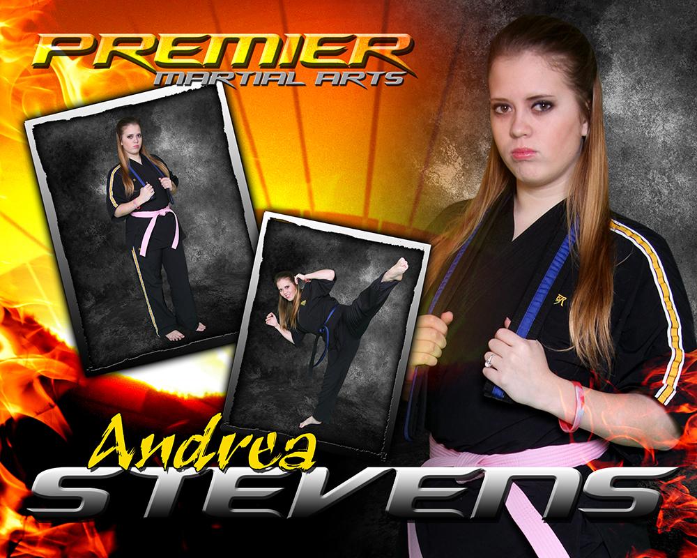 Fire Sunset - Martial Arts Series - Drop In Poster/Banner-Photoshop Template - Photo Solutions