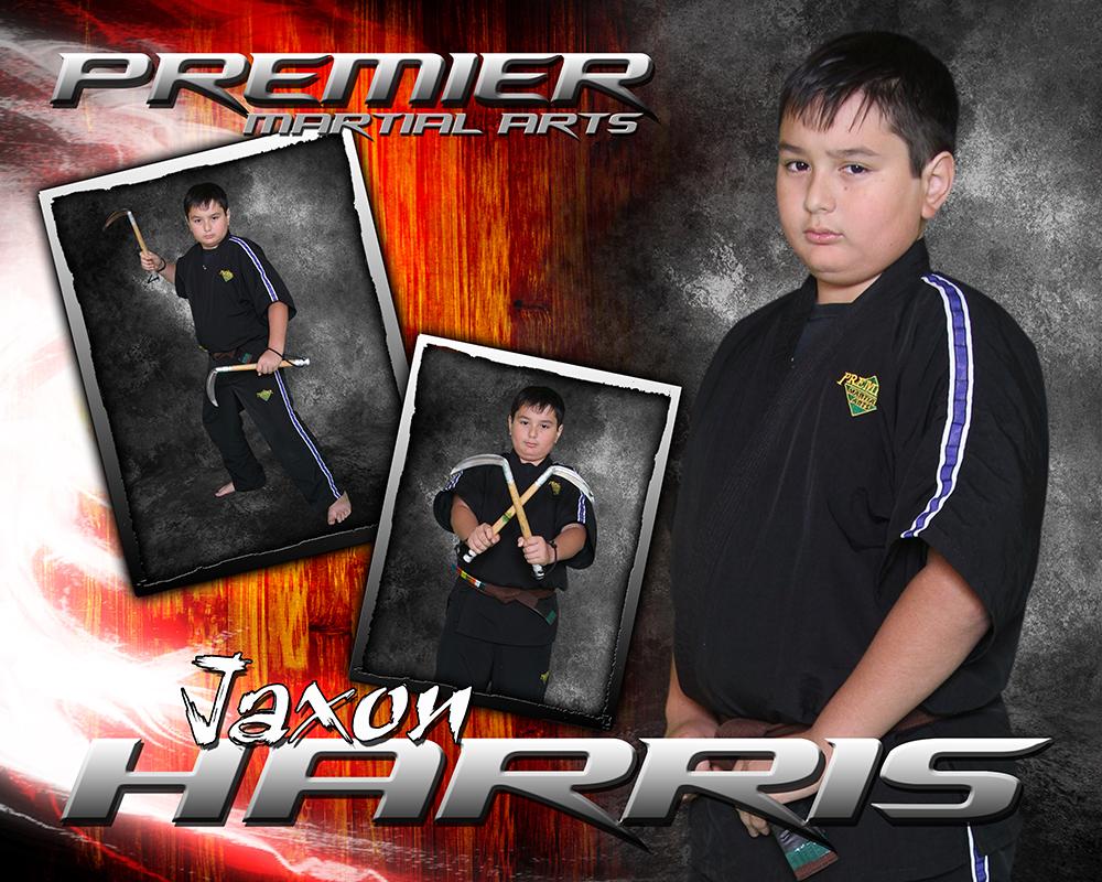 Hardwood Flare - Martial Arts Series - Drop In Poster/Banner-Photoshop Template - Photo Solutions