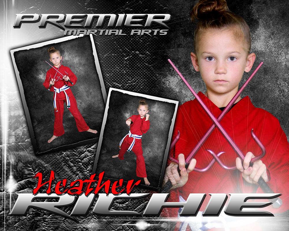 Stone Cold - Martial Arts Series - Drop In Poster/Banner-Photoshop Template - Photo Solutions