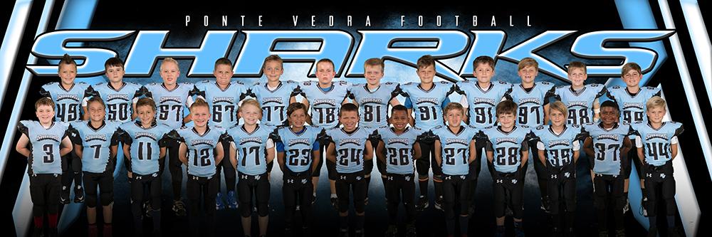 Shark - Next Series - Team Panoramic-Photoshop Template - Photo Solutions