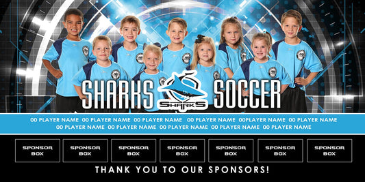 4x8 Beam Team Banner - Cyber Target-Photoshop Template - PSMGraphix