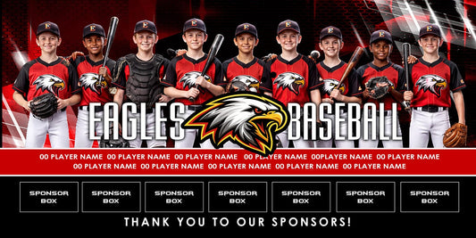 4x8 Team Banner - Night Moves-Photoshop Template - PSMGraphix