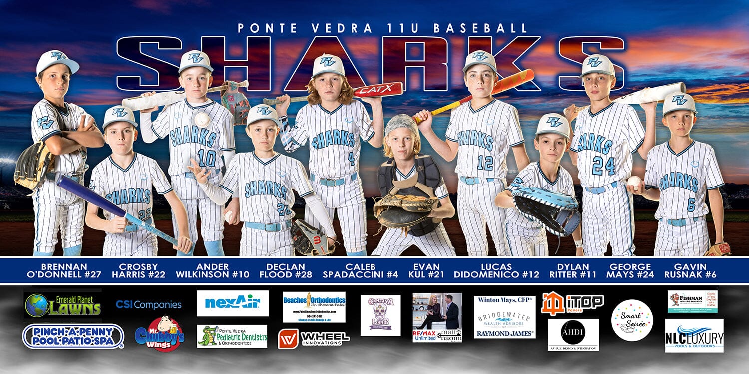 Slugger - 1:2 Ratio TEAM FIELD BANNER Photoshop Template-Photoshop Template - PSMGraphix