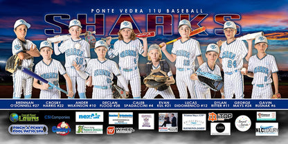 Slugger - 1:2 Ratio TEAM FIELD BANNER Photoshop Template-Photoshop Template - PSMGraphix