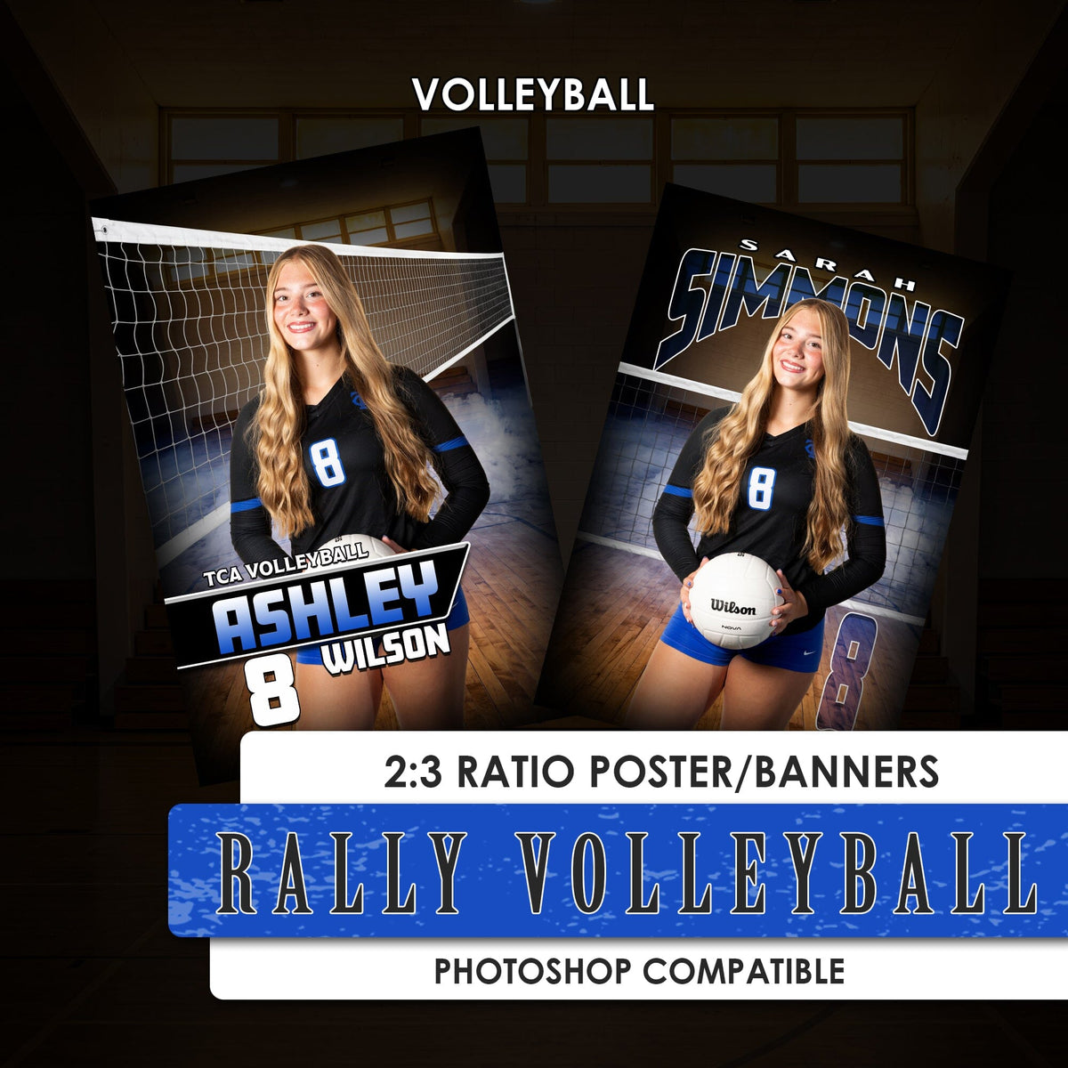 Rally Volleyball - 2:3 Ratio Player Poster/Banner