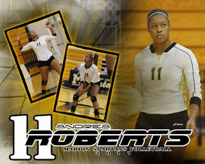 Volleyball v.5 - Action Drop In Poster/Banner-Photoshop Template - Photo Solutions