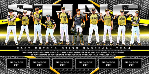 Limited Time - ENTIRE SET! ALL 6 COLLECTIONS-Photoshop Template - PSMGraphix