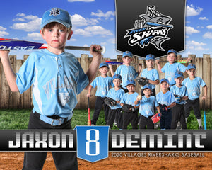 Sandlot - Cinema Series - T&I Poster/Banner H-Photoshop Template - PSMGraphix