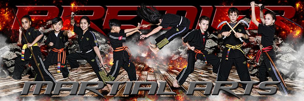 Devastation - Martial Arts Series - Poster/Banner Panoramic-Photoshop Template - Photo Solutions