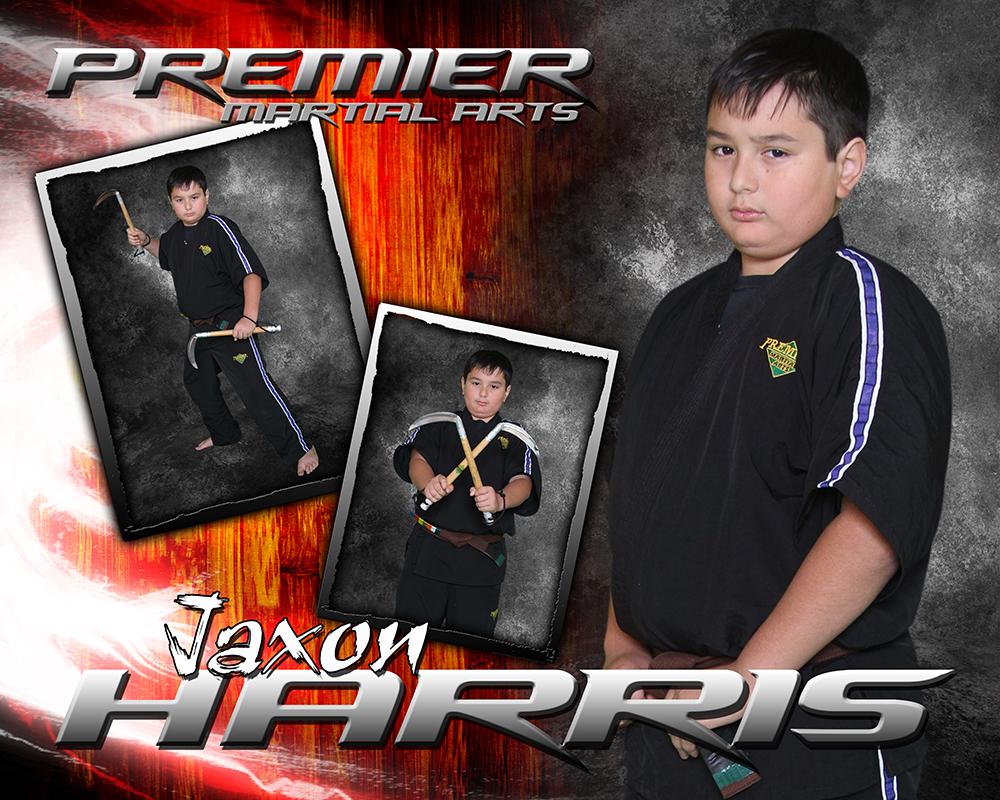 Hardwood Flare - Martial Arts Series -  Drop In Poster/Banner-Photoshop Template - Photo Solutions