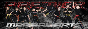 Stone Cold - Martial Arts Series - Poster/Banner Panoramic-Photoshop Template - Photo Solutions