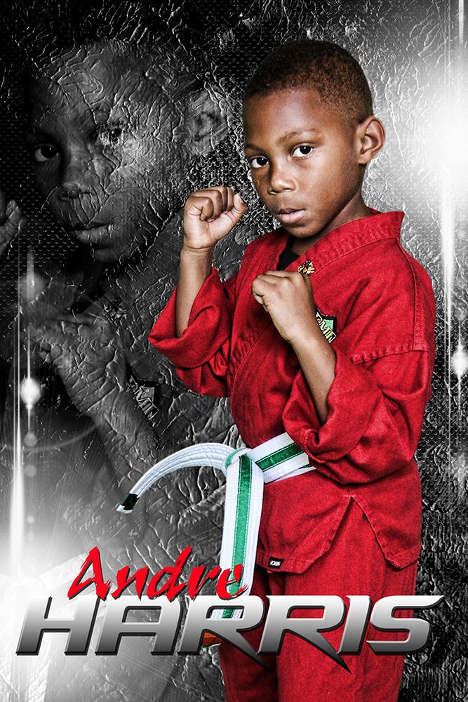 Stone Cold - Martial Arts Series - Poster/Banner V-Photoshop Template - Photo Solutions