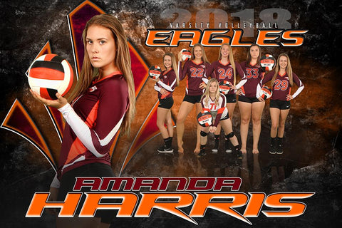 Eagle - NEXT Series - T&I Poster/Banner H-Photoshop Template - Photo Solutions