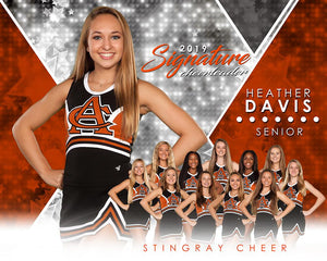 Cheer - v.2 - Signature Player - H T&I Poster/Banner-Photoshop Template - Photo Solutions