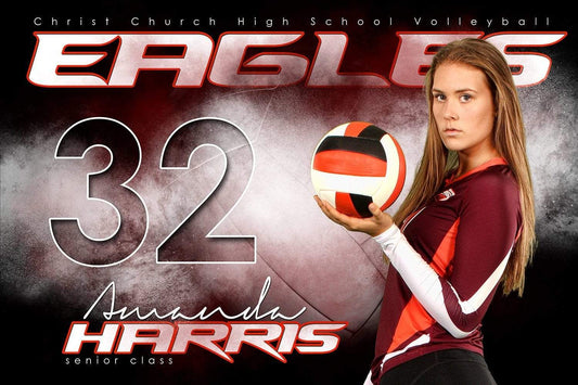 Volleyball Next Level - Signature Series - Player Banner & Poster Template H-Photoshop Template - Photo Solutions