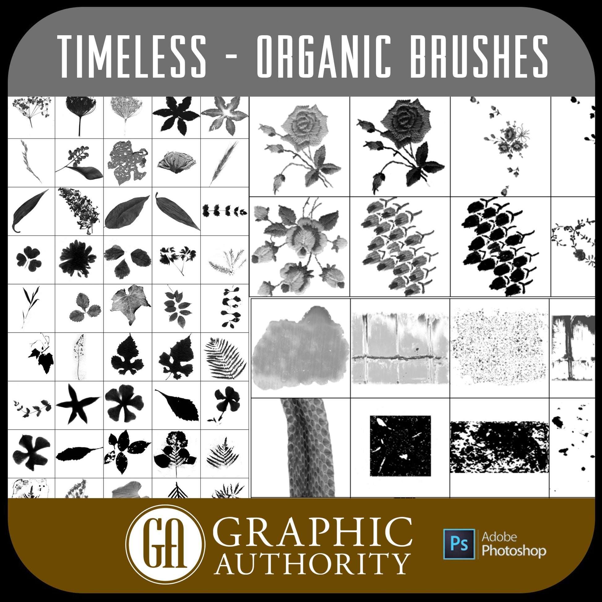 Timeless - Organic - Photoshop ABR Brushes-Photoshop Template - Graphic Authority